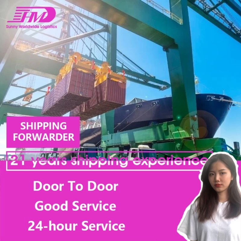 China swwls FCL LCL fast fba Canada freight forwarder sea shipping manufacturer