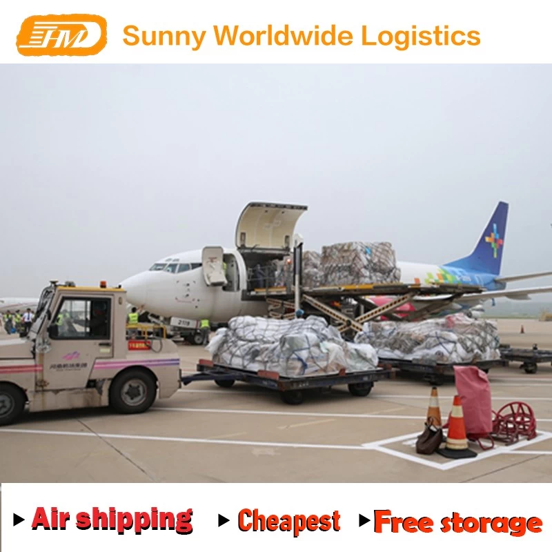 China Swwls Professional Agent Forwarder für den Seefrachtversand in den USA Hersteller