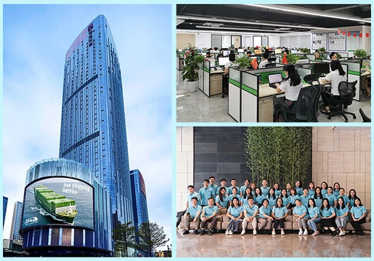Sea Freight Forwarder,Ocean Shipping Agent,China to USA,door to door service,warehouse in Shenzhen