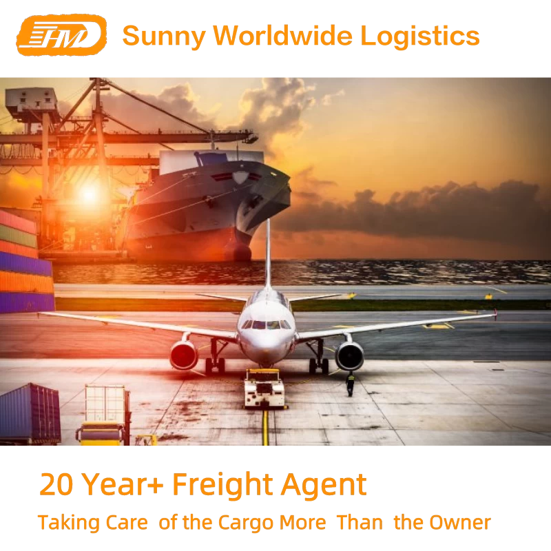 China Swwls Professional Agent Forwarder für den Seefrachtversand in den USA Hersteller