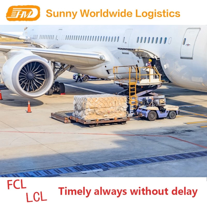 China Swwls Professional Agent Forwarder für den Seefrachtversand in den USA Hersteller