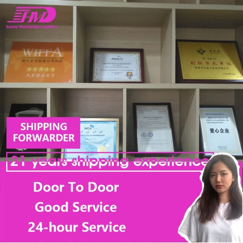 China swwls FCL LCL fast fba Canada freight forwarder sea shipping manufacturer