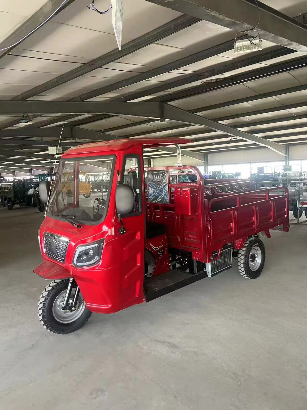 LY-Kane Motorized/Electric tricycles - COPY - e8pd9w