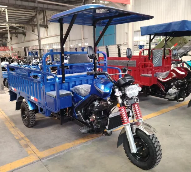 LY-Kane Motorized/Electric tricycle - COPY - swptdq