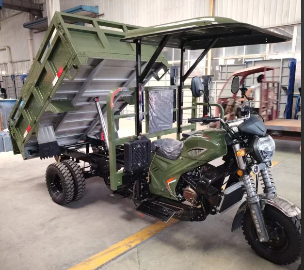 LY-Kane Motorized/Electric tricycle - COPY - swptdq