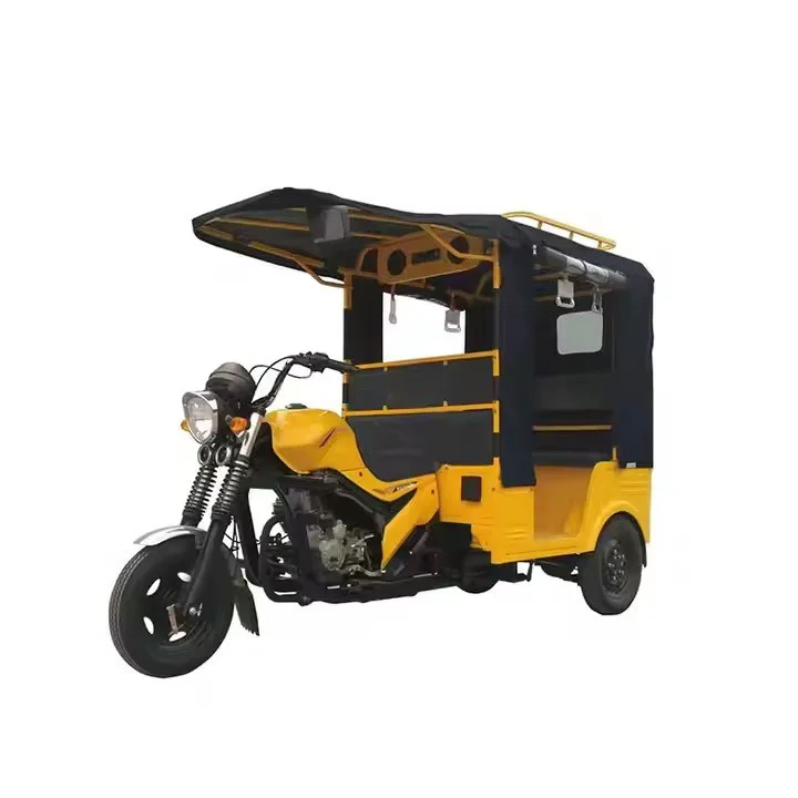 Ly -kane -019 motorisierte/elektrische Dreirads - Kopie - GNB8WT