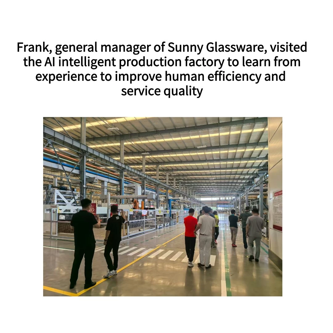 Frank, general manager of Sunny Glassware, visited AI intelligent production factory, Learning experiences improve people effectiveness and service quality