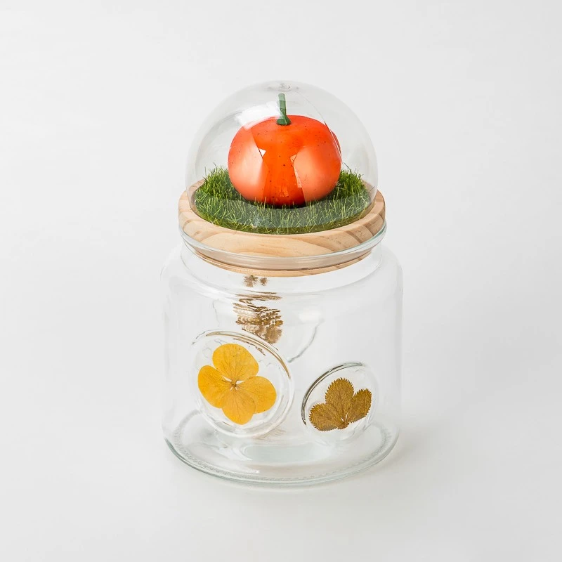  glass contianer with dry plant on the glass wall