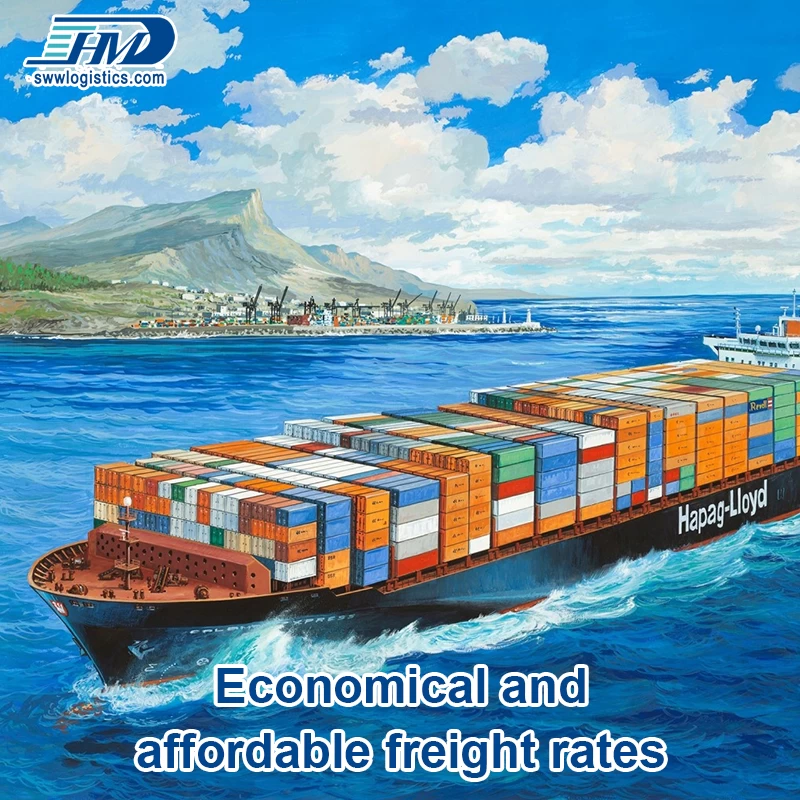 Shenzhen International To Australia door to door Shipping  Best Price Sea Service Freight Forwarder
