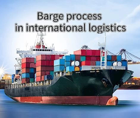 Freight forwarder sea shipping service China Top 10 international logistics company professional  from China to USA