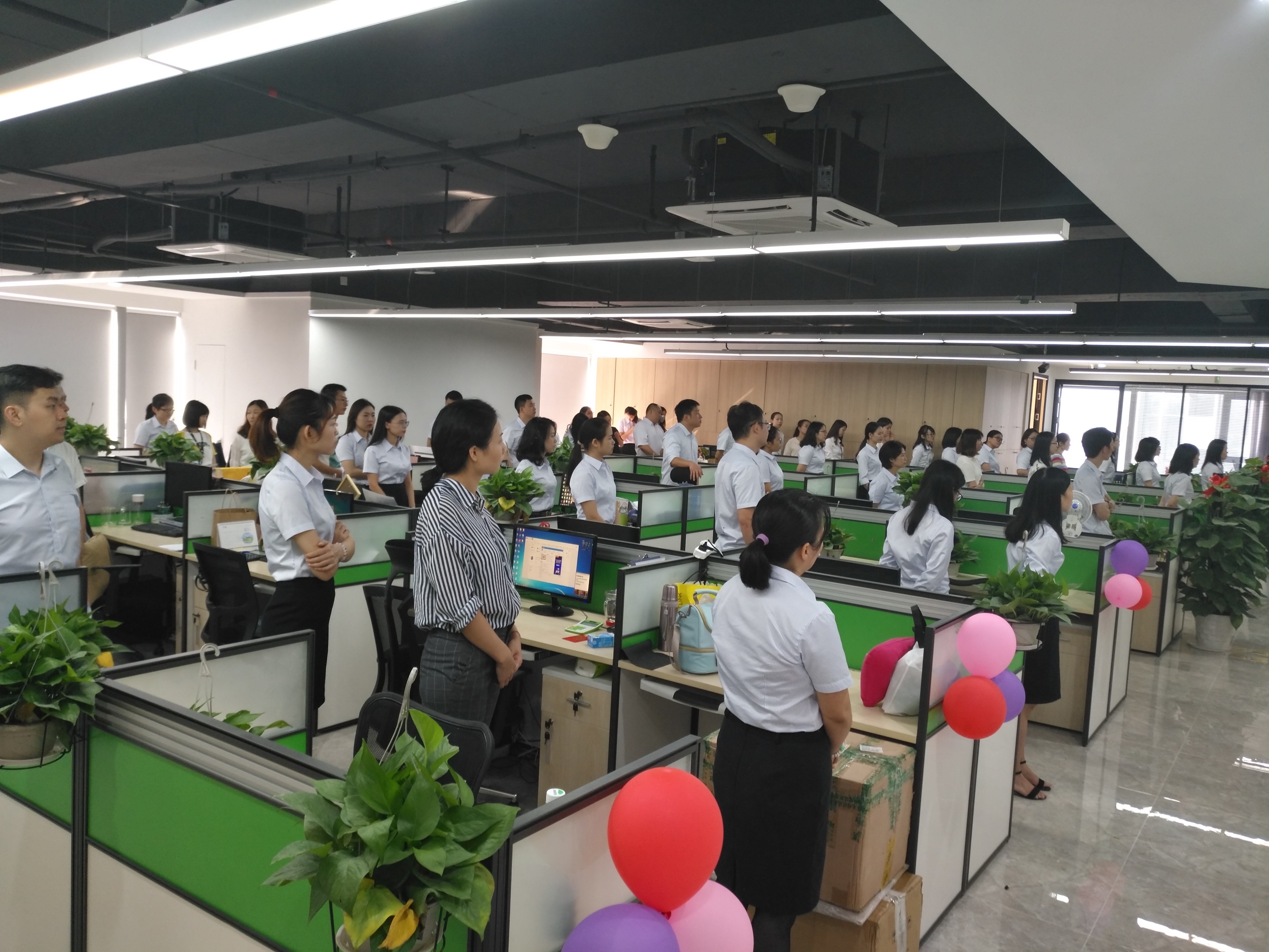 Professionista dall'agente di spedizione della Cina all'Italia servizio di trasporto marittimo con le migliori tariffe di spedizione