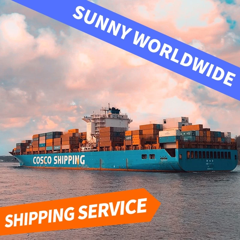 Sea cargo service from china ship to canada ddp cheap ocean freight shipping to amazon fba