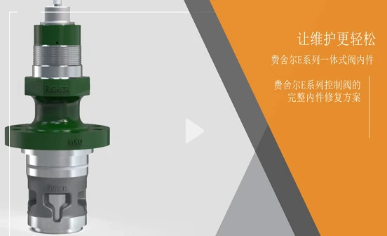 Learning About Fisher Trim Cartridge Integrated Valve Trim Repair Solution