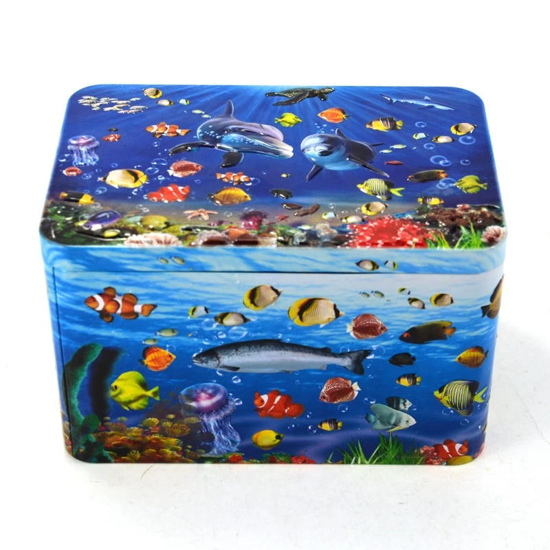 China Kotak Tin Rectangular Custom Embossing pengilang