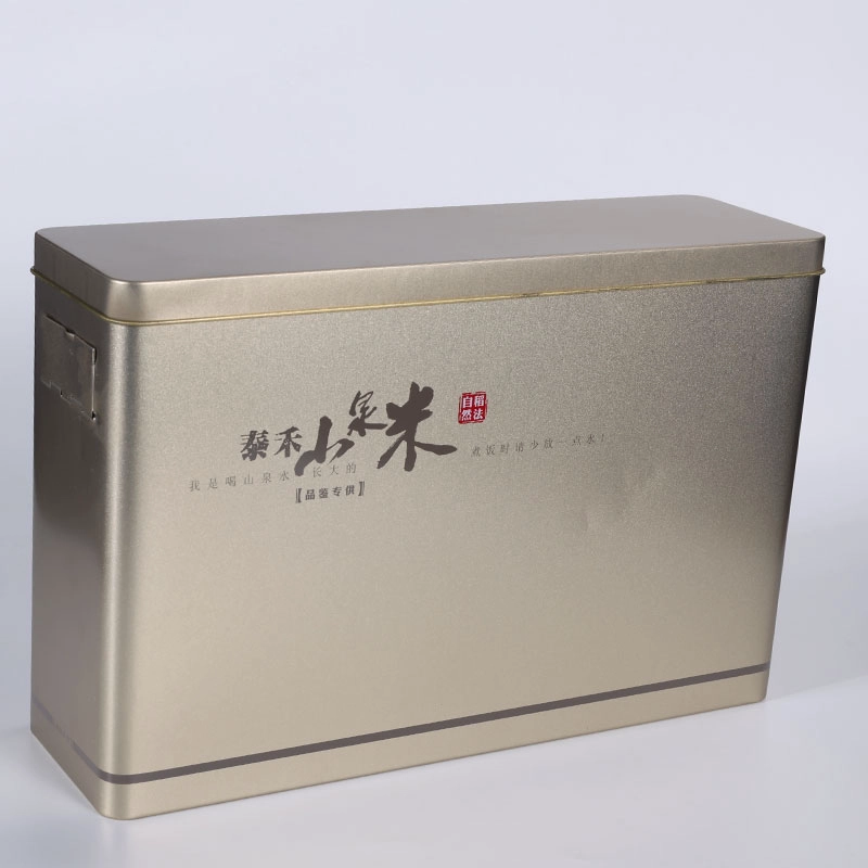 الصين تغليف علبة قصدير معدنية مستطيلة حسب الطلب من المصنع الصانع