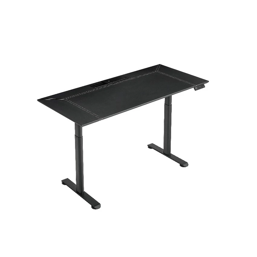 China Electric Standing Desk: Stable, Fast Height Adjustment for Home & Office T20 manufacturer