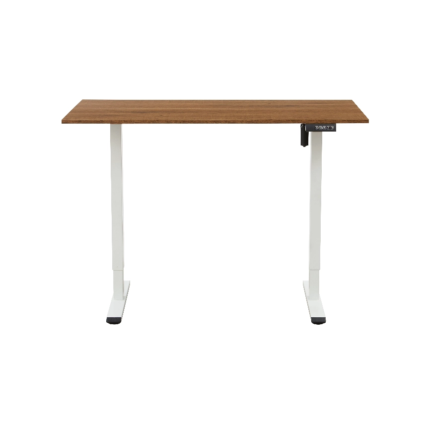Electric Standing Desk: Stable, Fast Height Adjustment for Home & Office T029