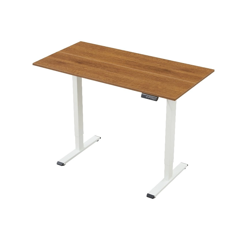 China Electric Standing Desk: Stable, Fast Height Adjustment for Home & Office T029 manufacturer