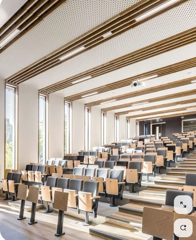 Reshaping Learning Power: How New Ergonomic Standards Define the Future of Training Chairs