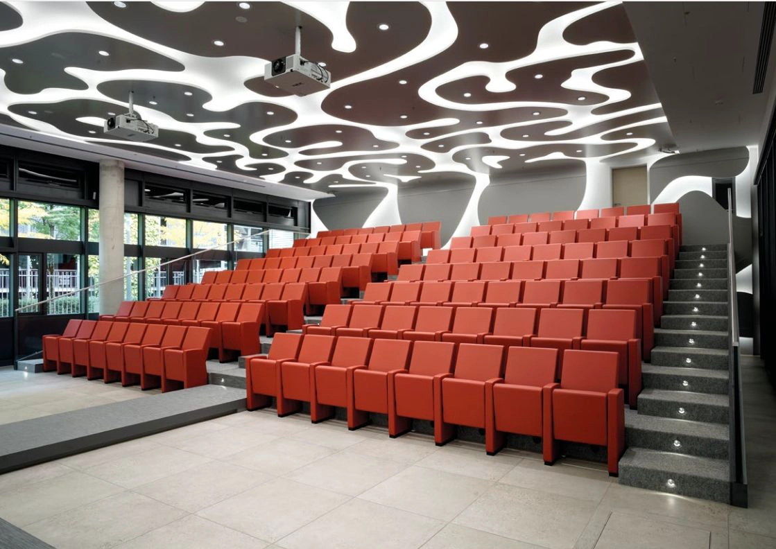 How Domestic Brands Lead the Innovation Trend in Training Chairs