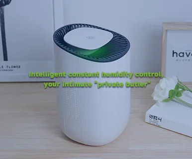 Smart humidifier