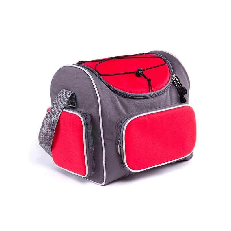 China Thermoelectric Travel Cooler Bag manufacturer