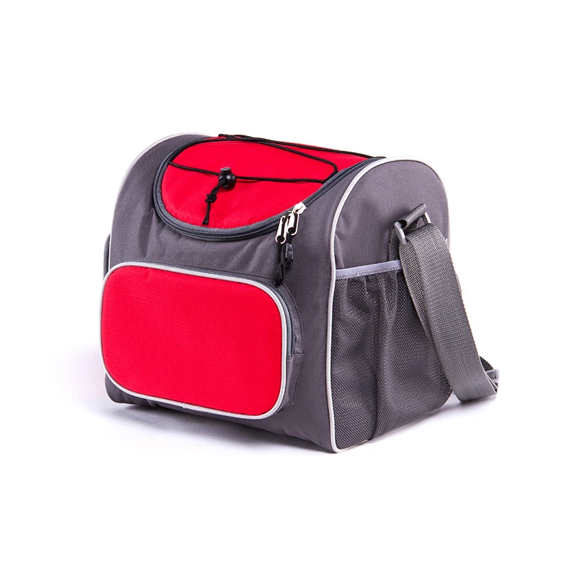 Thermoelectric Travel Cooler Bag