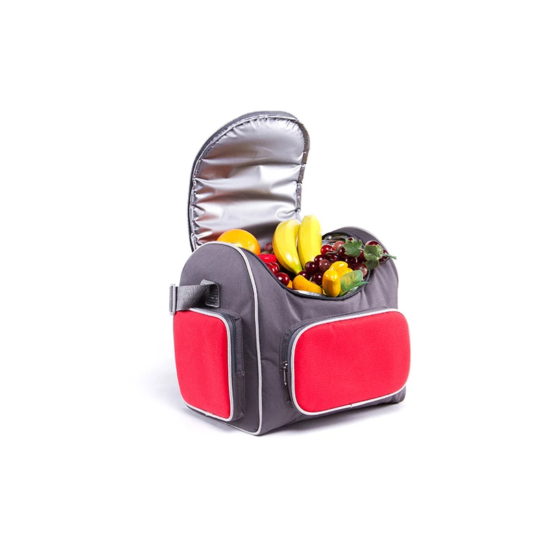 Thermoelectric Travel Cooler Bag