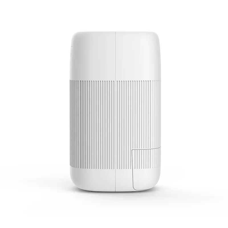 Dehumidifier&Air purifier