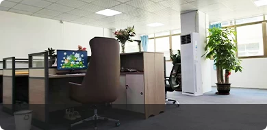 COMPANY TEAM