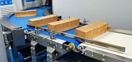 Sandwich Forming Line