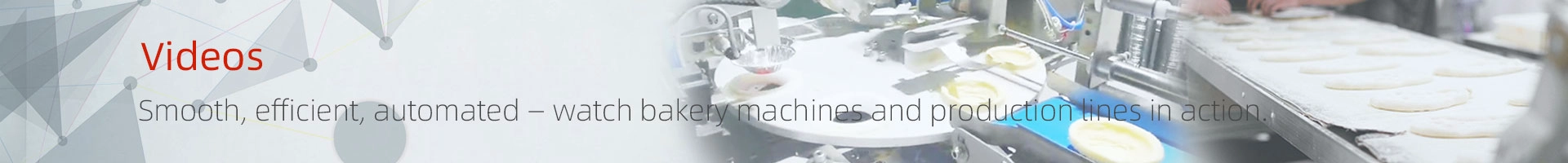 video detail page -banner