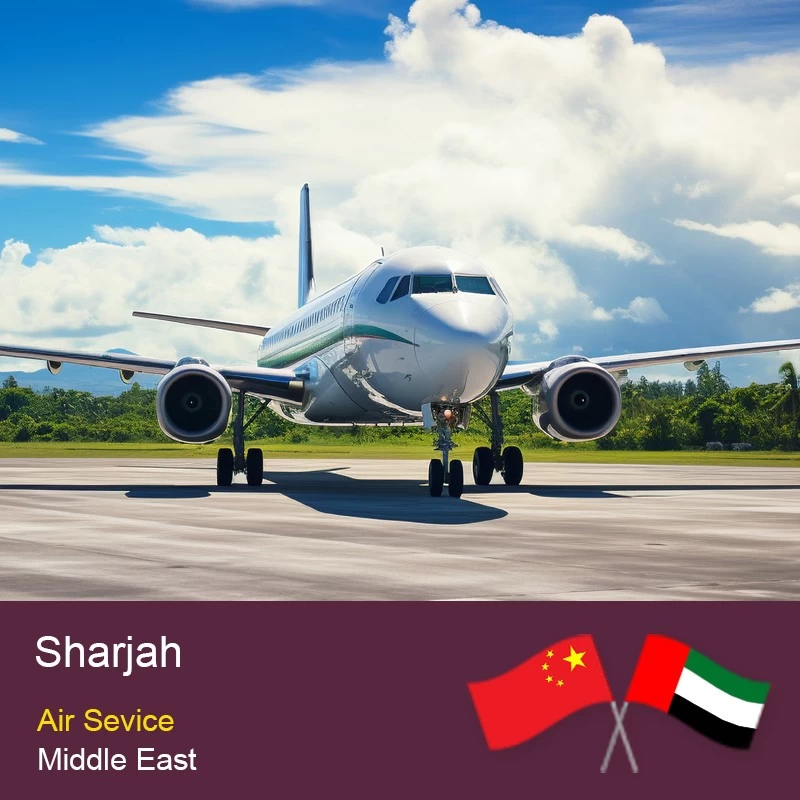 Chine Navire de fret aérien de Chine à Sharjah-Shenzhen DL Logistics Transfert de fret