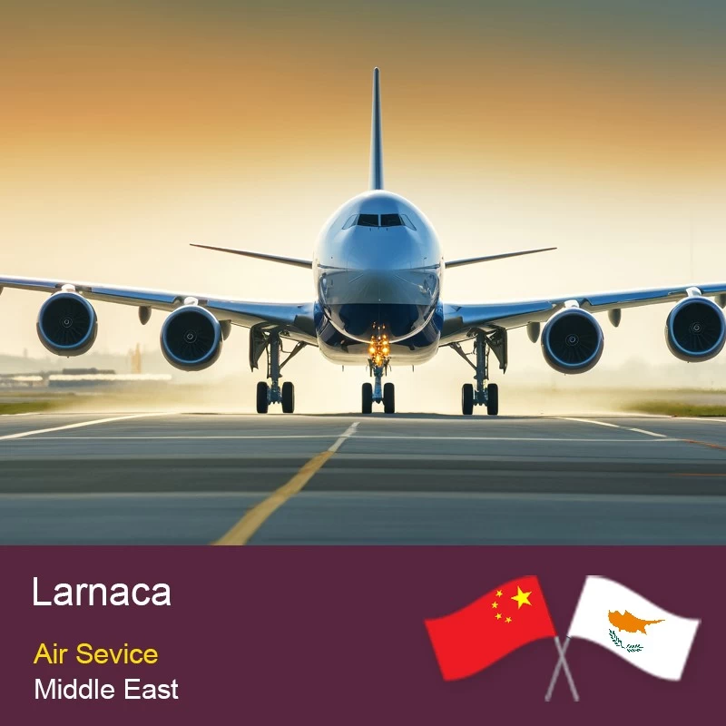Chine Chine à Larnaca Middle East Air Freight Special Line Transfert de fret