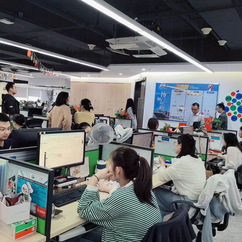 الصين الشحن الجوي من الباب إلى الباب من شنتشن إلى عمان توجيه الشحن