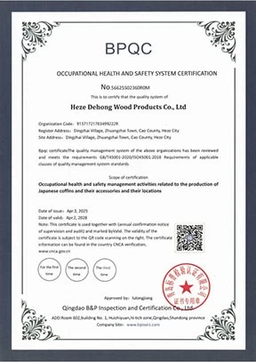 OCCUPATIONAL HEALTH AND SAFETY SYSTEM CERTIFICATION