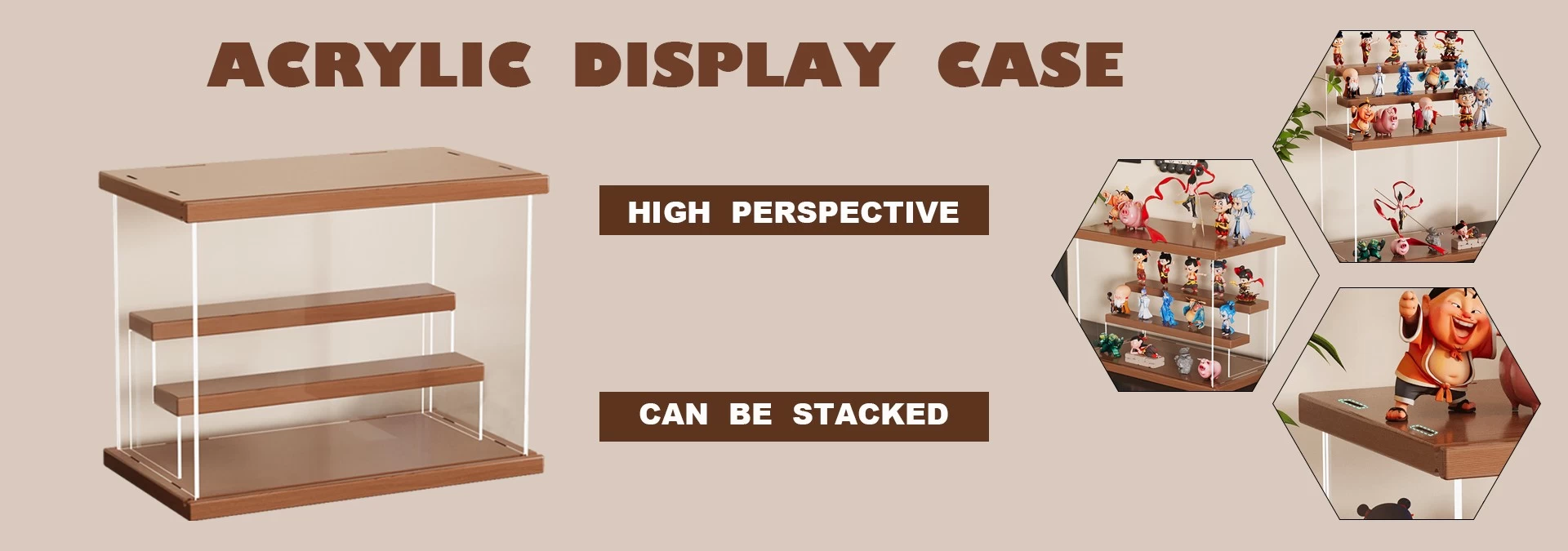 ACRYLIC DISPLAY CASE