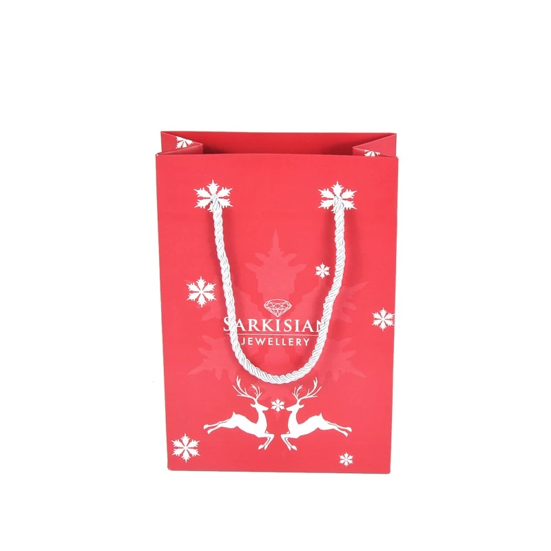 China Manufacture Shopping Bag Christmas Gift Recyclable Paper Bag manufacturer