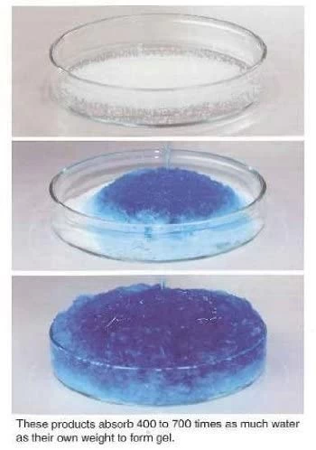 Sodium polyacrylate super absorbent polymer