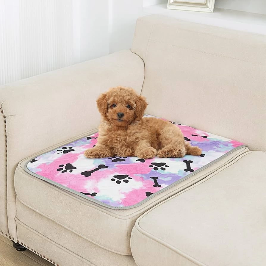 Pet changing pads add SAP absorbent material