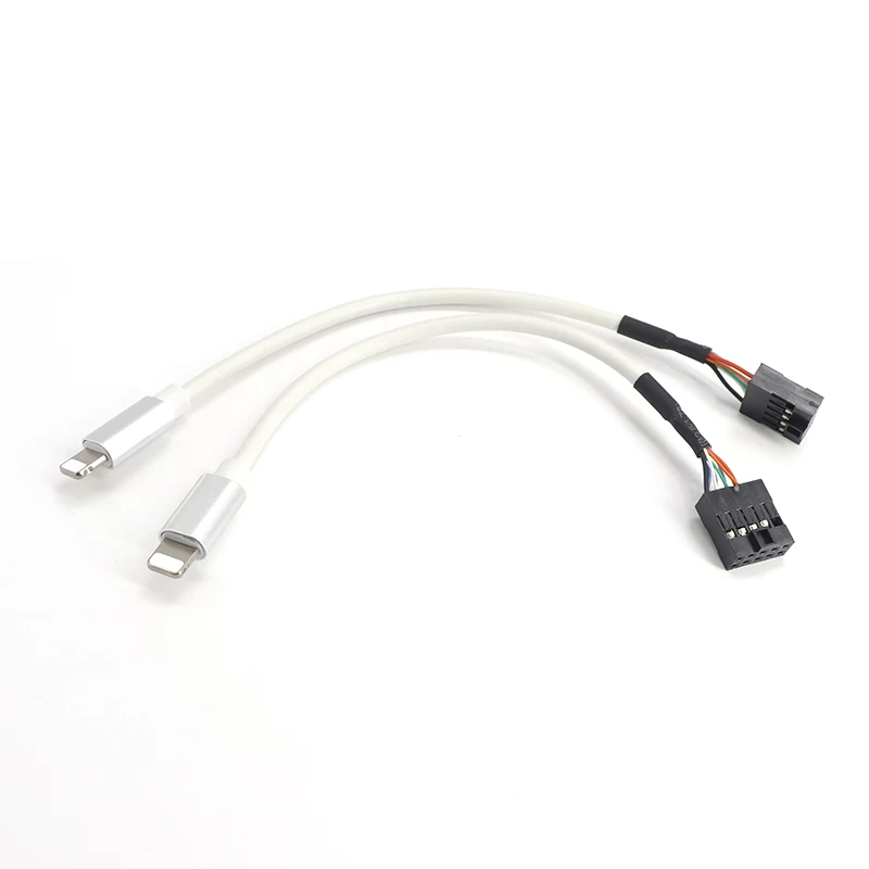 China Apple Lightning 8-pins USB-mannetje naar Dupont 2,54 mm 2x5pin 10-pins header-kabel fabrikant