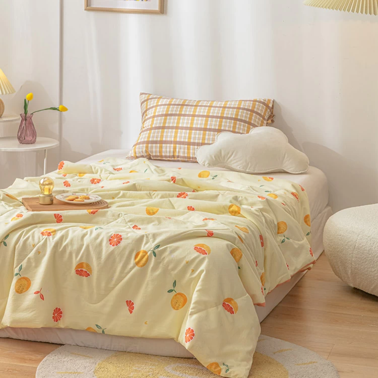 China Dirt-Resistant Antibacterial Anti-Mite Twin Size China Kids Quilt Supplier manufacturer