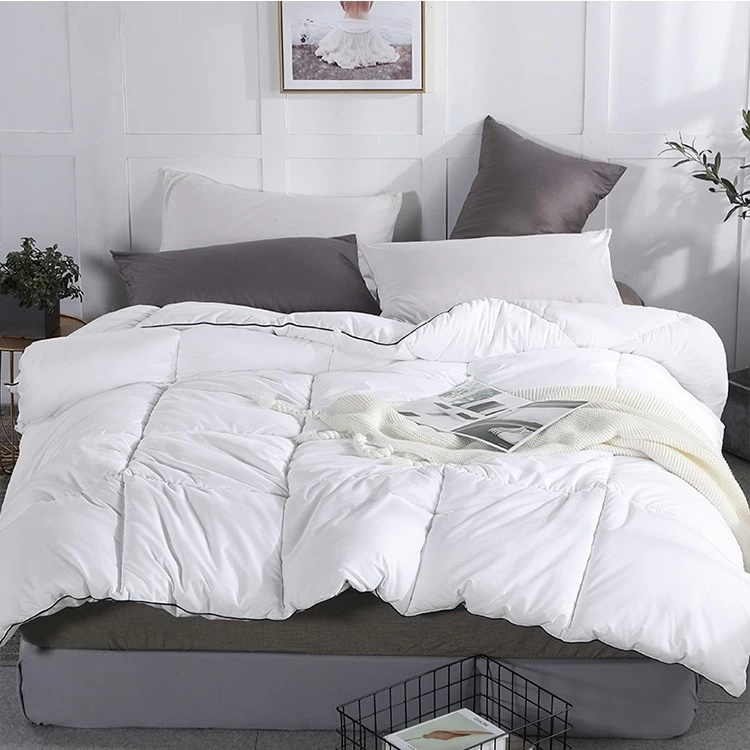 China Bedding Thickened Warmth Quilted Duvet Insert With Corner Tabs China Winter Comforter Wholesale manufacturer