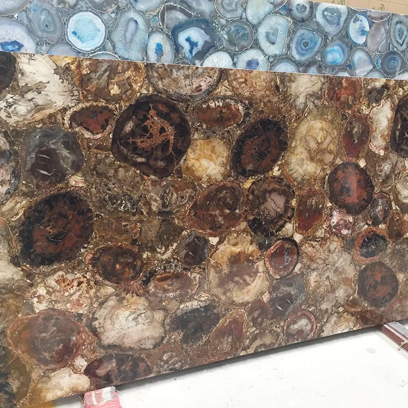 Round Texture Petrified Wood Gemstone Slab