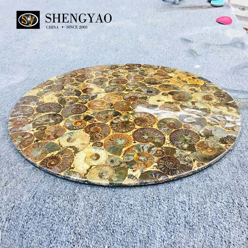 Customized Conch Fossil Table Top,Round Semi Precious Stone Table Top