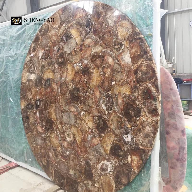 Large Petrified Wood Tabletop Round Fossil Wood Countertop