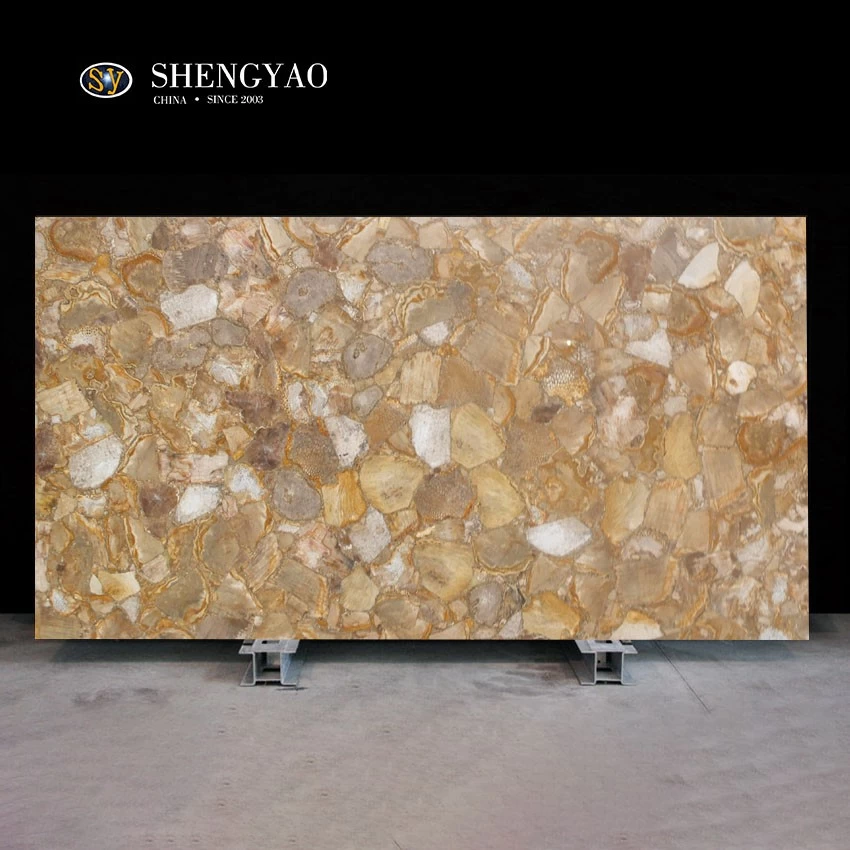 Natural Fossil Astroies Corallite Gemstone Slab,Polishing Large Semi Precious Stone Wall Panel