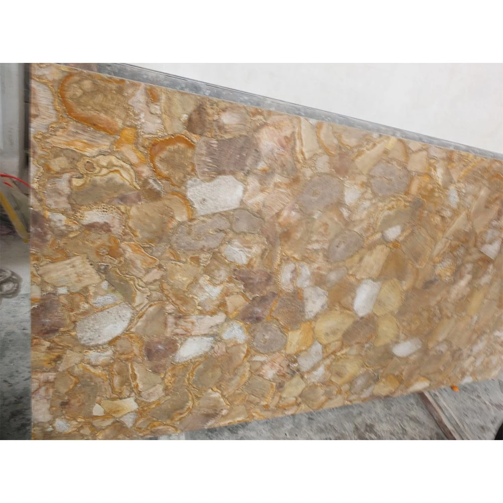 الأحجار الكريمة الطبيعية الأحفورية Astroies كوراليت بلاطة ، تلميع لوحة الحائط الأحجار شبه الكريمة الكبيرة