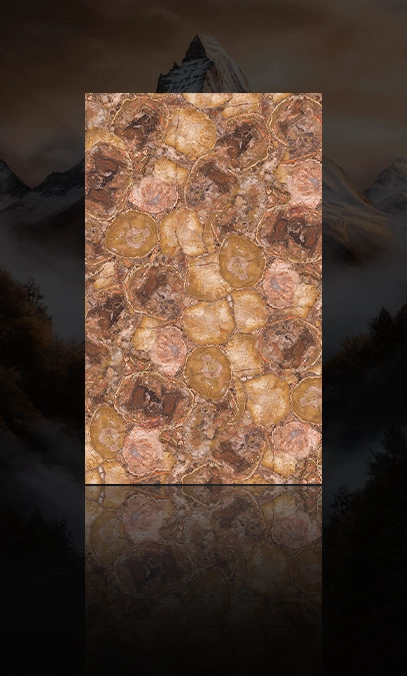 China Petrified Wood Slab manufacturer