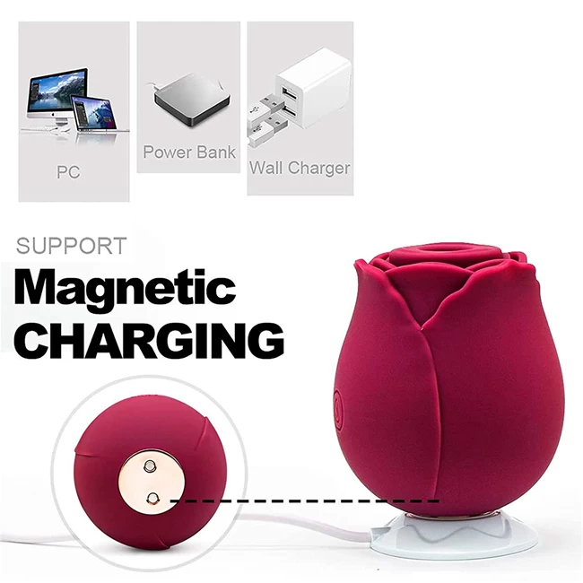 Rose Vibrator KS01A
